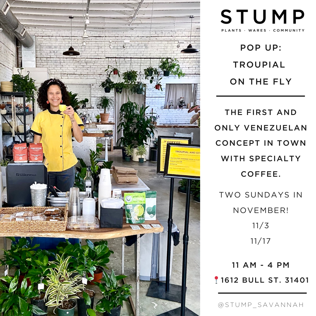 Savannah : Pop Up with Troupial on the Fly — STUMP PLANTS · WARES